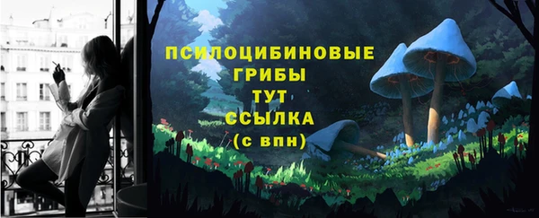 эйфоретик Абаза