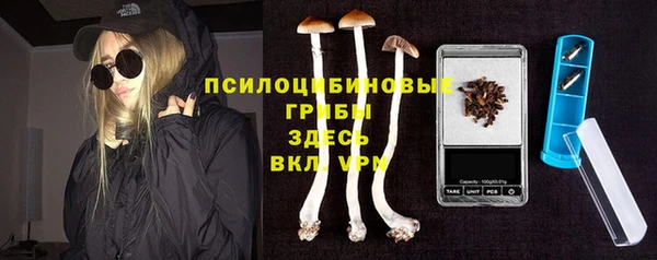 дживик Нягань
